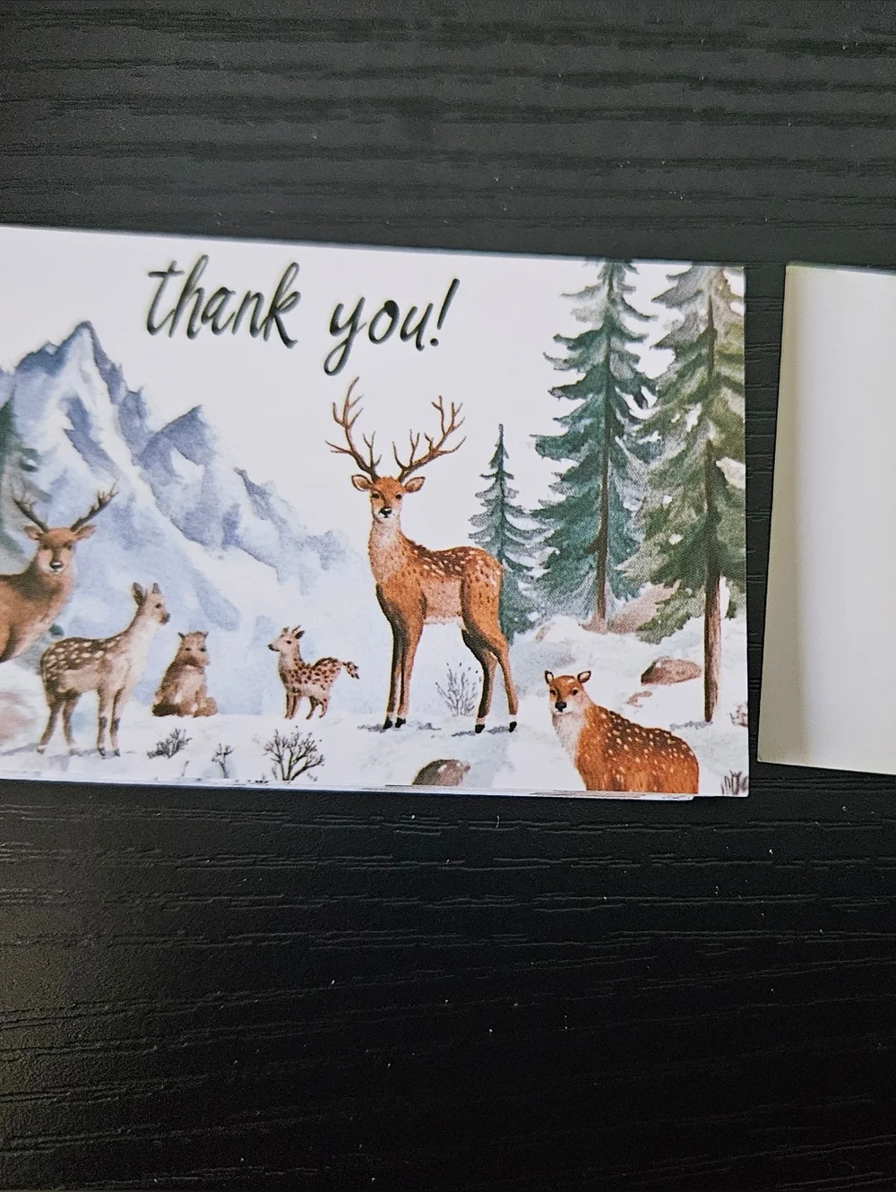 Winter Forest Thank You cards